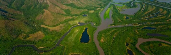 8 Fascinating Facts About Pantanal
