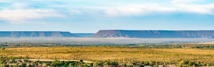 6 Reasons to visit the Brazilian Cerrado in 2025